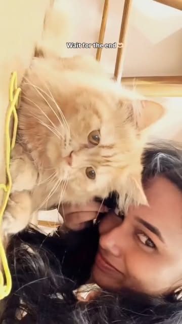 A guest taking a selfie with a fluffy ginger café cat